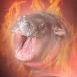 Fanbox profile picture for @hippo
