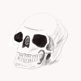 Fanbox profile picture for @skeleton