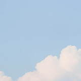 Fanbox profile picture for @koi