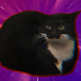 Fanbox profile picture for @cox