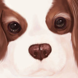 Fanbox profile picture for @cavalier