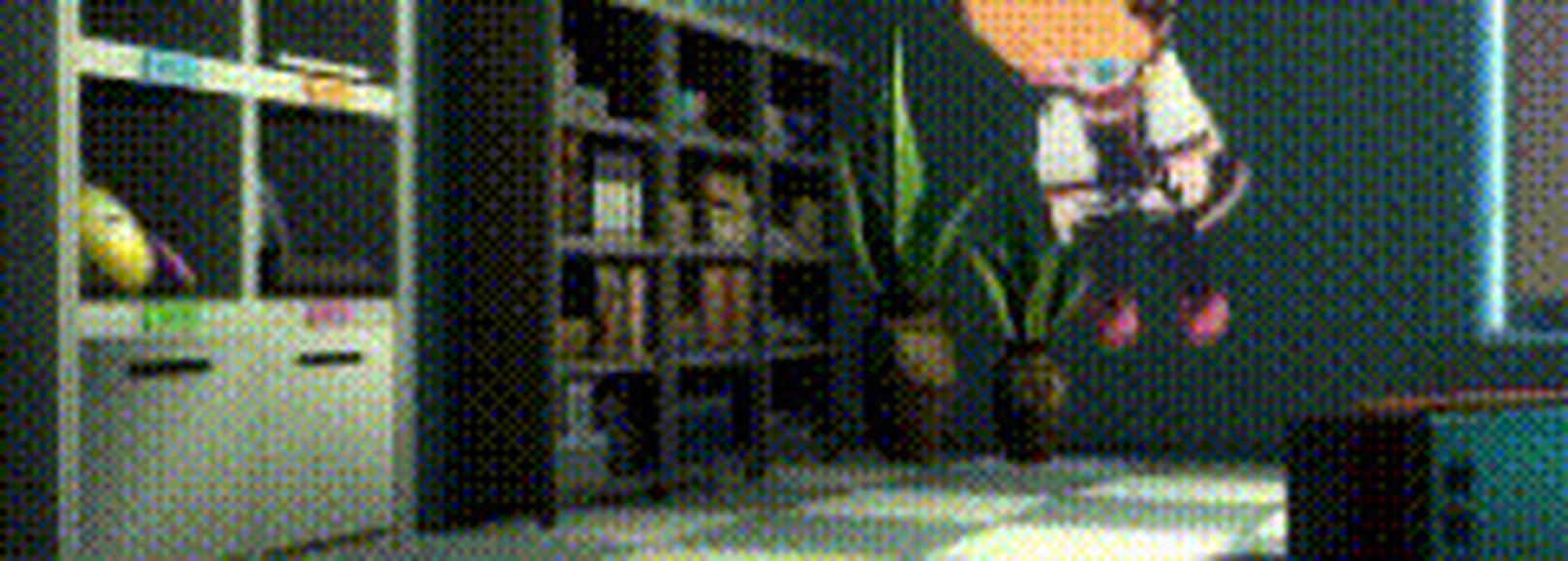 Fanbox banner for @nitrogen