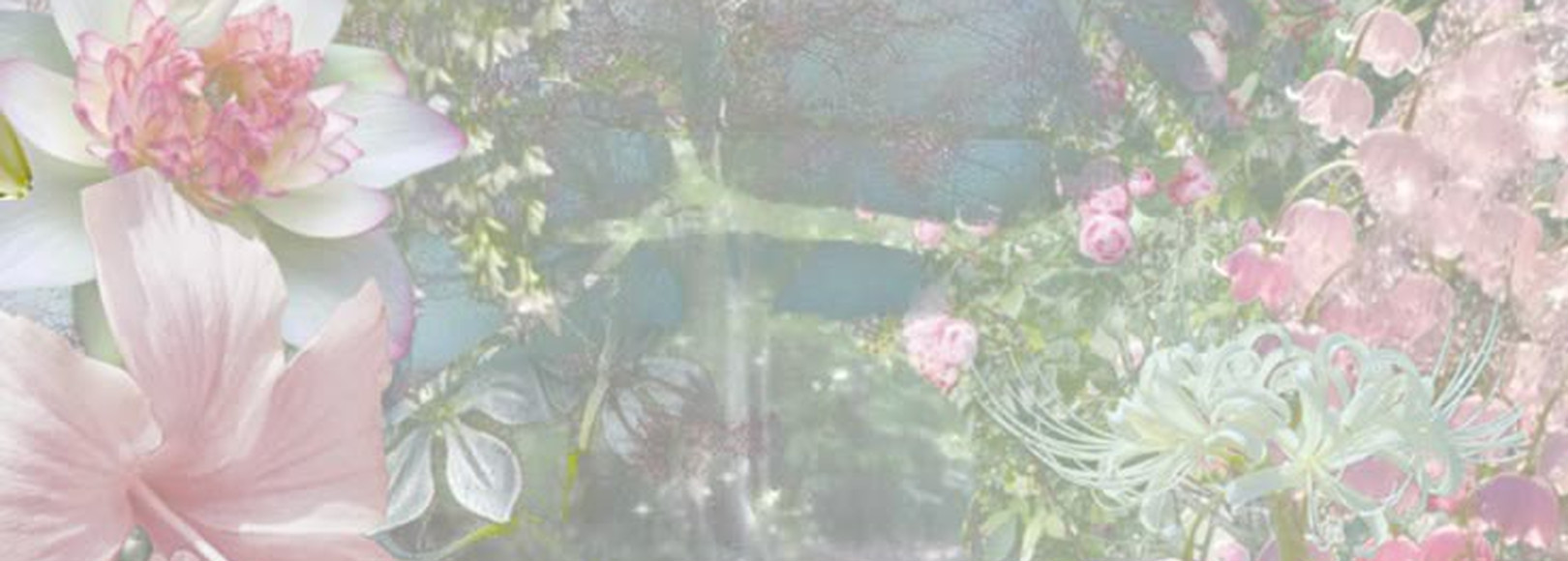 Fanbox banner for @katie