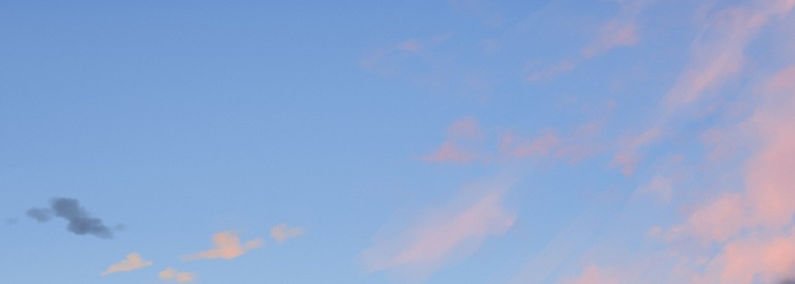 Fanbox banner for @koi