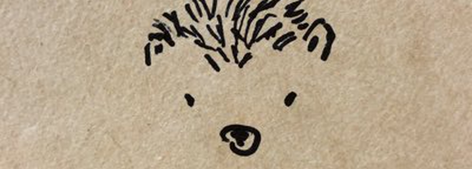 Fanbox banner for @sunny