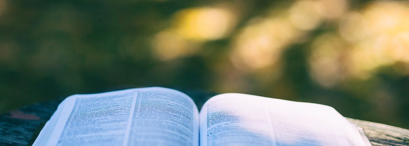 投稿一覧|日本SF作家クラブ|pixivFANBOX