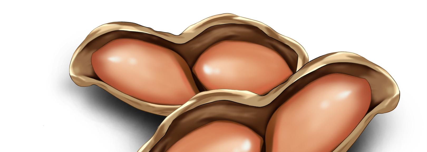 Fanbox banner for @peanut