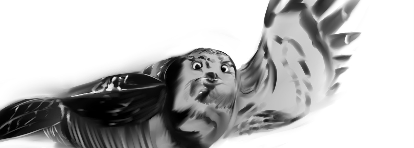 Fanbox banner for @fana