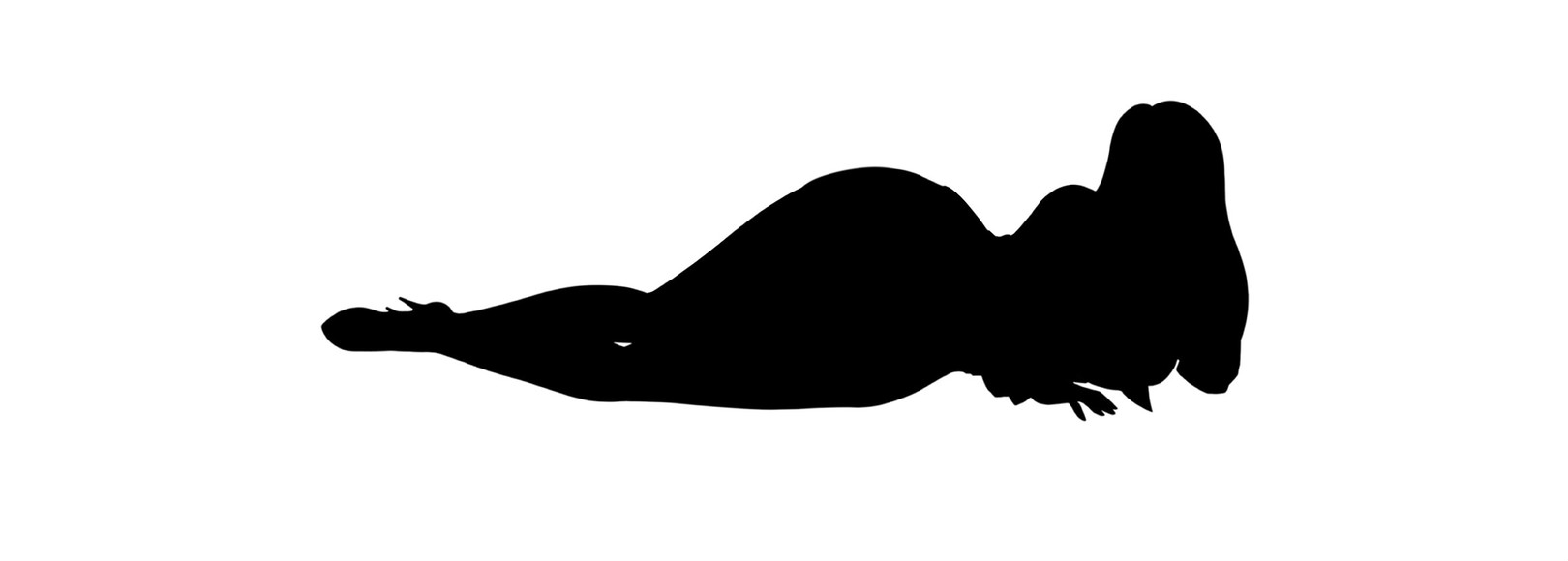 Fanbox banner for @chardonnay
