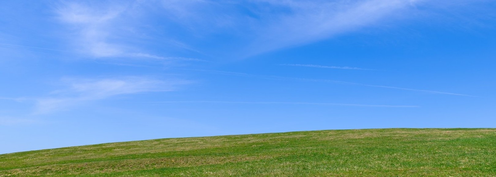 Fanbox banner for @web